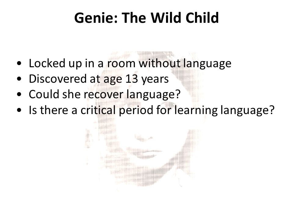 Genie (feral child)